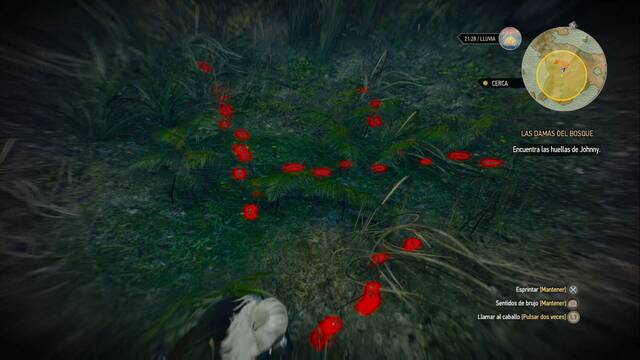 The Witcher 3: Wild Hunt - Las Damas del bosque 2 - Busca las huellas de Jhonny
