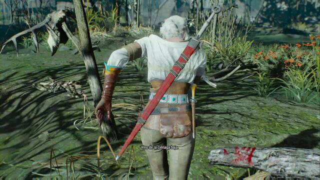 The Witcher 3: Wild Hunt - Las Damas del bosque 5 - Ciri lleg herida al pantano