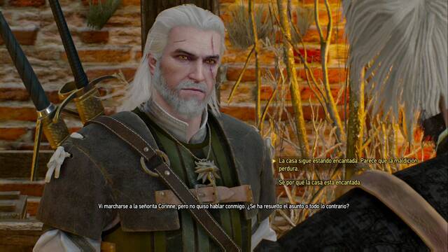 The Witcher 3: Wild Hunt - Soando en Novigrado - T decides qu hacer