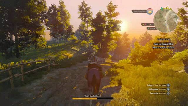 The Witcher 3: Wild Hunt - Flores rotas 2 - Ganar la carrera te dará un buen premio