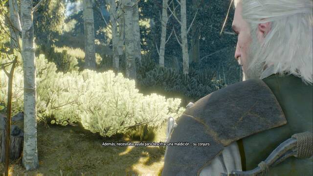 The Witcher 3: Wild Hunt - Poeta bajo presión - Parece que todo está relacionado con cierta maldición