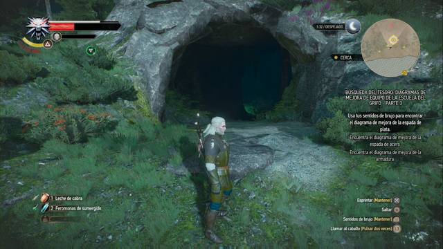 The Witcher 3: Wild Hunt - Diagramas superiores de la escuela del grifo - El diagrama está ahí dentro