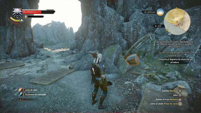 The Witcher 3: Wild Hunt - Diagramas superiores de la escuela del grifo - Los diagramas están en el cofre