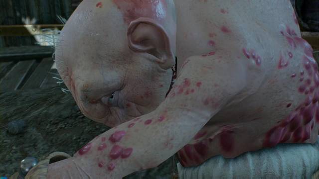 The Witcher 3: Wild Hunt - Patito feo - Uma sigue en Percha del Cuervo