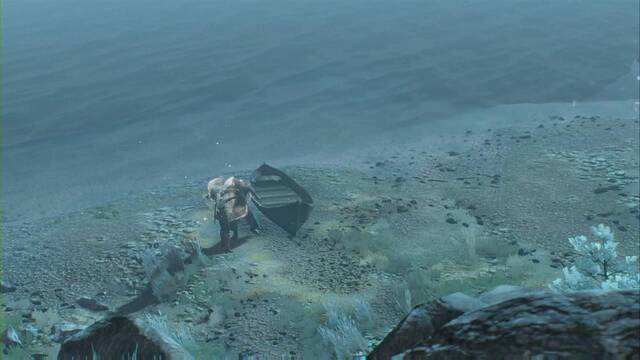 TW3 - El que no tiene nombre2 - El elfo dej+ inconsciente a Ciri por alg+n motivo