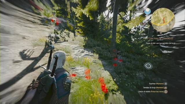 The Witcher 3: Wild Hunt - Cebo para colihendidos2 - Examina el árbol