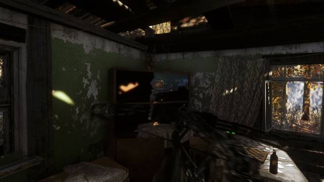 Metro Exodus - Postales en La taiga - Postal #15