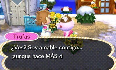 Animal Crossing - Cristina - 