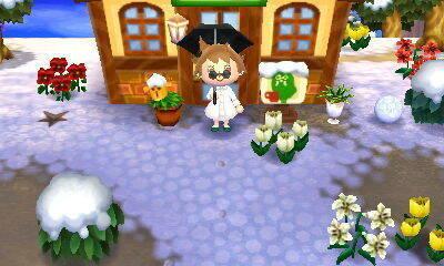 Animal Crossing - Cristina - 