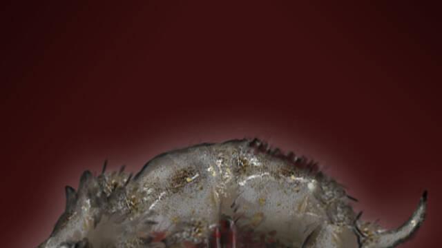 Salt and Sanctuary -