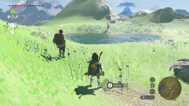 Zelda Breath of the Wild Un amor sigiloso - Wabin