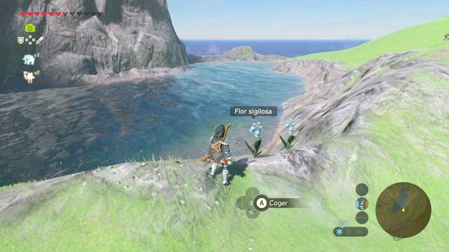 Zelda Breath of the Wild Un amor sigiloso - Flor sigilosa