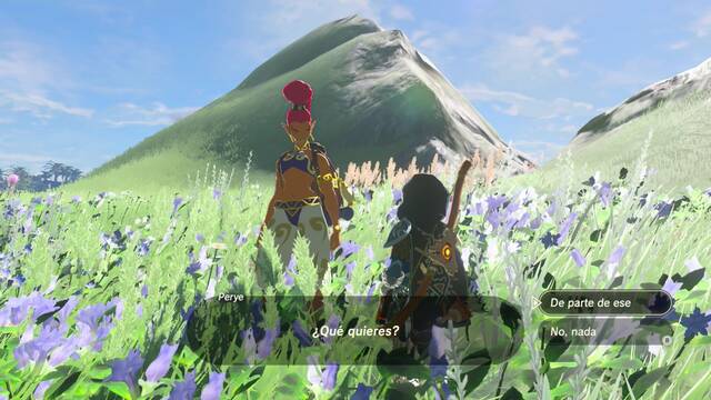 Zelda Breath of the Wild Un amor sigiloso - Entregar la flor
