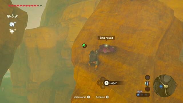 Zelda Breath of the Wild Setas a raudales - Setas raudas