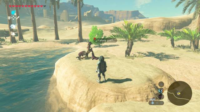 Zelda Breath of the Wild Elixir contra el calor - Gineli