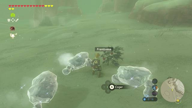 Zelda Breath of the Wild Falta de riego - Frambuesas