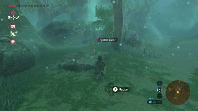 Zelda Breath of the Wild El peregrinaje - Nokke