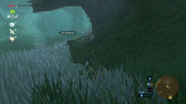 Zelda Breath of the Wild El peregrinaje - Fantasma