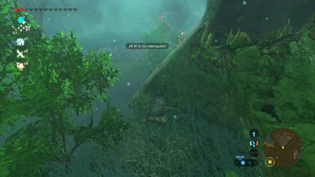 Zelda Breath of the Wild El peregrinaje - Llegada al santuario