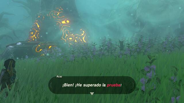 Zelda Breath of the Wild El peregrinaje - Fin de la prueba