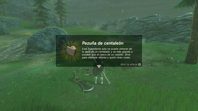 Zelda Breath of the Wild Acertijos sobre Hyrule - Pezua de centalen (2)
