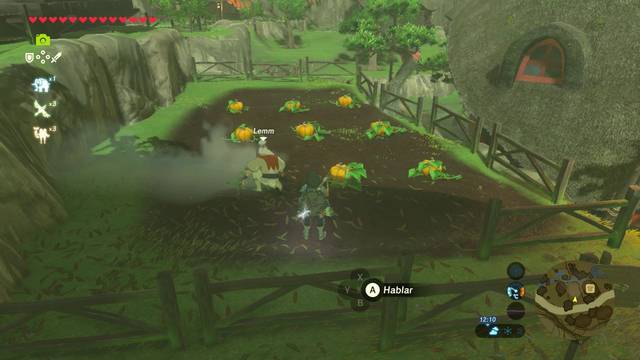 Zelda Breath of the Wild Acertijos sobre Hyrule - Calabaza robusta