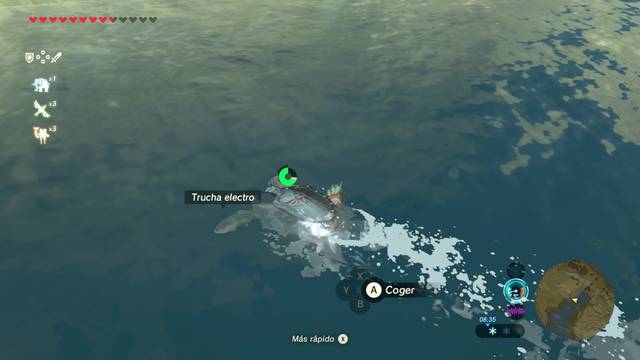 Zelda Breath of the Wild Acertijos sobre Hyrule - Trucha electro (2)