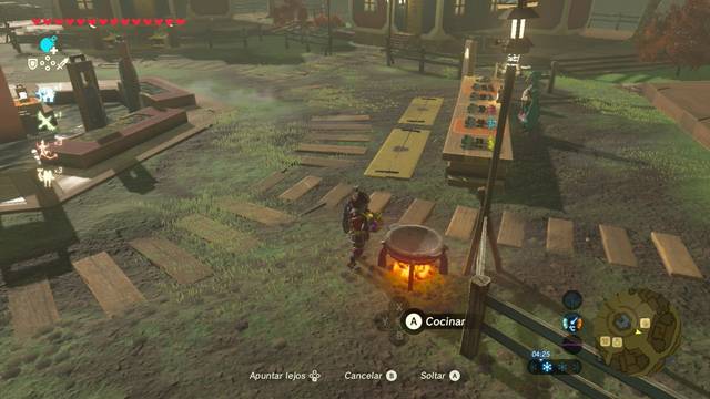 Zelda Breath of the Wild Amor de madre - Cocinar