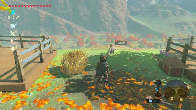 Zelda Breath of the Wild Caprichos de nuevo rico - Hagg