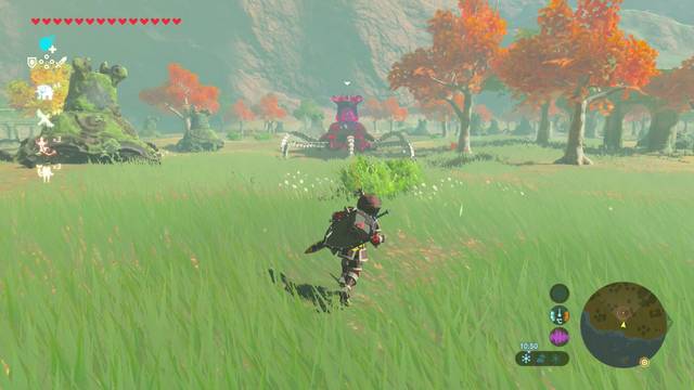 Zelda Breath of the Wild Caprichos de nuevo rico - Guardin caminante