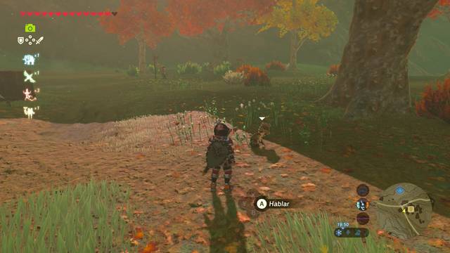 Zelda Breath of the Wild Todo por mi hermanita - Gleesa