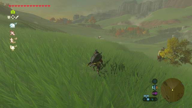 Zelda Breath of the Wild Todo por mi hermanita - Liblula gnea (2)