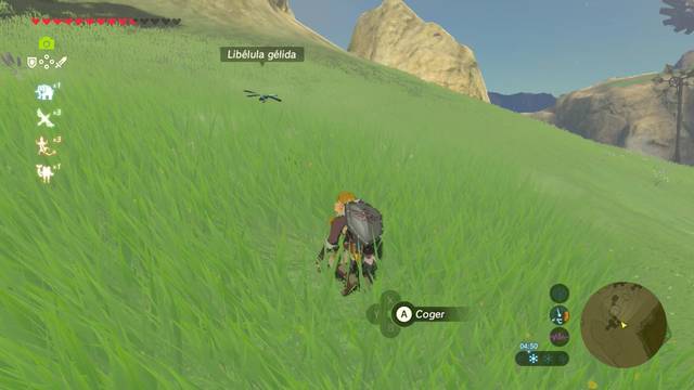 Zelda Breath of the Wild Todo por mi hermanita - Liblula glida (2)