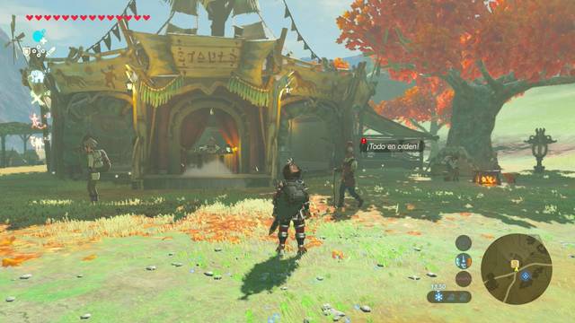 Zelda Breath of the Wild Un individuo sospechoso