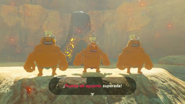 Zelda Breath of the Wild Prueba de aguante - Prueba superada