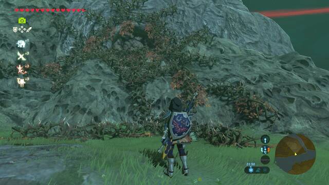 Zelda Breath of the Wild Santuario de Nineah