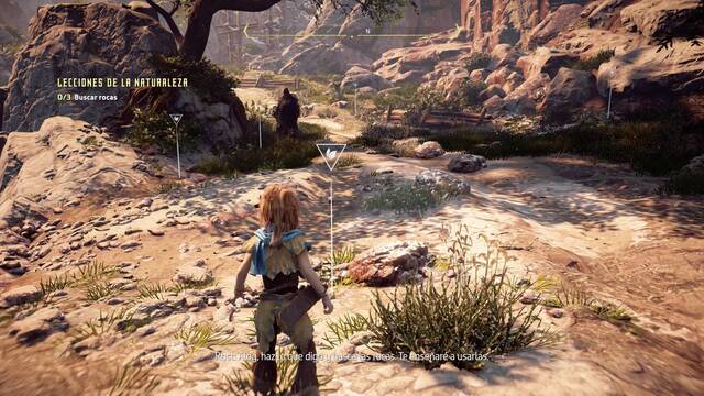 Horizon: Zero Dawn Lecciones de la naturaleza - Recoger rocas