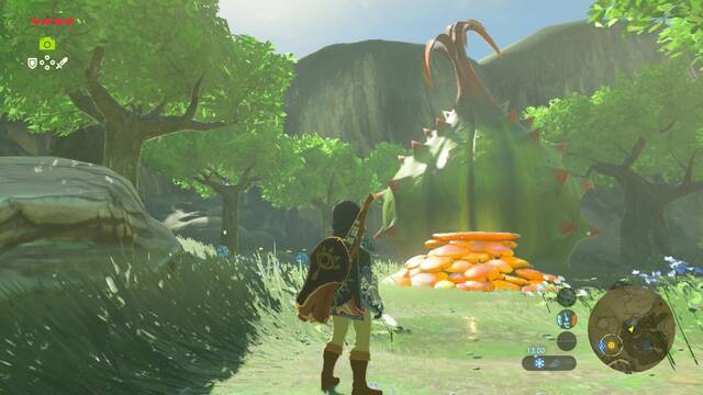 Zelda Breath of the Wild La fuente de la gran hada - Planta en la que está el gran hada