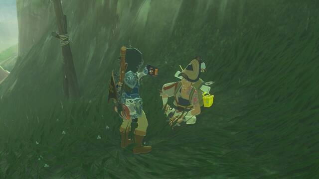 Zelda Breath of the Wild La fuente de la gran hada - Enseñar la foto a Dangis