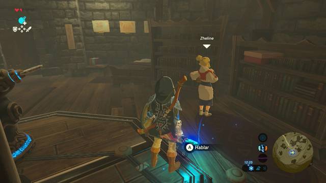 Zelda Breath of the Wild El ojo izquierdo - Zheline