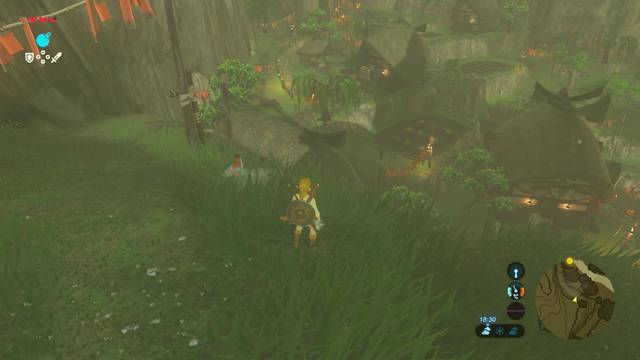 Zelda Breath of the Wild Los cucos perdidos - Cuco 4