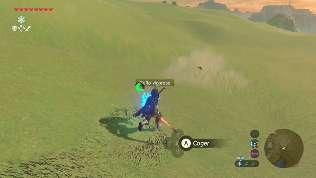 Zelda Breath of the Wild Los deseos del ser amado - Grillo vigoroso
