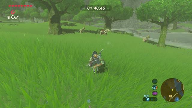 Zelda Breath of the Wild El récord del domador - Caballos salvajes