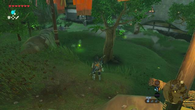 Zelda Breath of the Wild A la luz de las luciérnagas - Luciérnagas