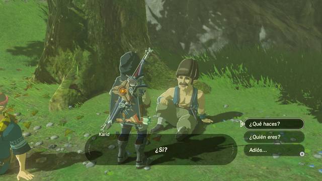 Zelda Breath of the Wild Expansión inmobiliaria - Karid en Hatelia