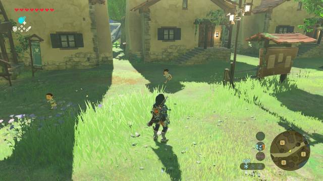 Zelda Breath of the Wild El joven entusiasta - Nebb