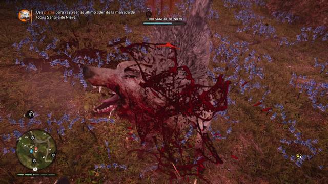 Far Cry Primal - Cacería: Lobo sangre de nieve -