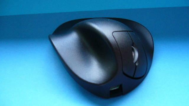 Handshoe mouse de Hippus -