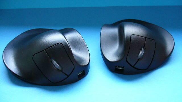 Handshoe mouse de Hippus -