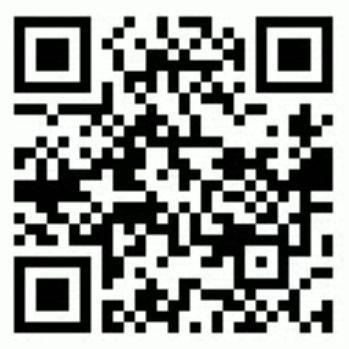 Yo-Kai Watch Cdigos QR para monedas especiales - Moneda emocin (flor)